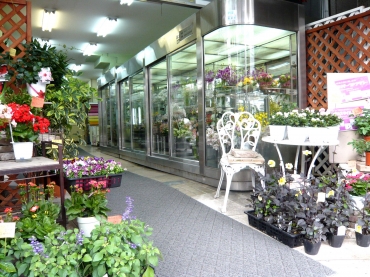 「美松花園」　（愛知県名古屋市昭和区）の花屋店舗写真2